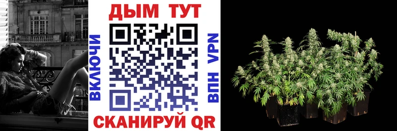 Шишки марихуана Ganja  Почеп 